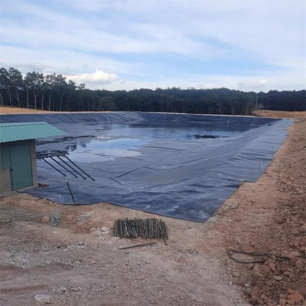 Fish Farm Pond Dam Landfill Liner HDPE Geomembrane 0.5mm 0.75mm 1.0mm 1.5mm 2.0mm 3.0mm