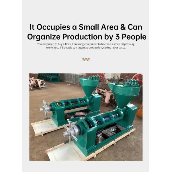 KG Industrial Oil Extractor High Oil Yield Cold Pressed Rosehip Oil Press Automatic Moringa Oil Pressers Pressing Machine