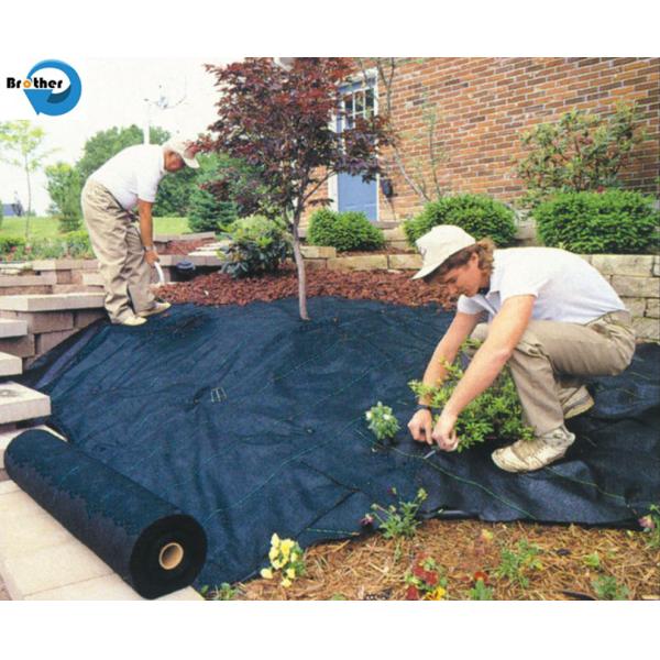 Agricultural Use PP Plastic Fabric Anti Grass Ground Cover Weed Control Mat Weed Barrier Mat