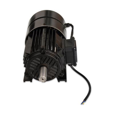 380V Rare Earth Permanent Magnet Motor Efficient Pmsm Electric Motor B3/B35