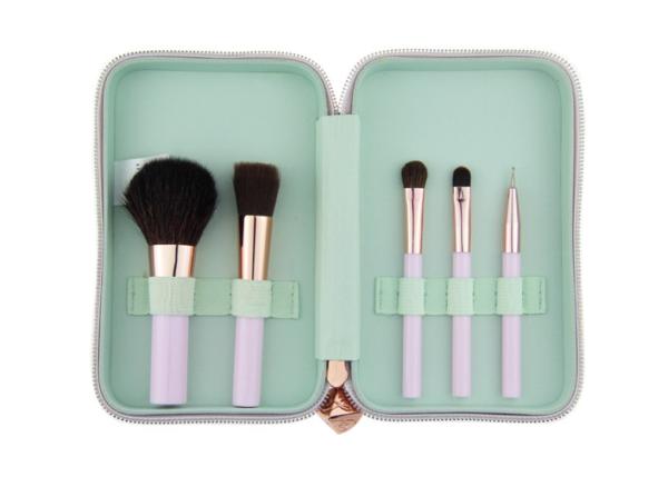 6 Piece Travel Makeup Brush Set With Plastic Handle , Synthetic Hair Makeup Brushes