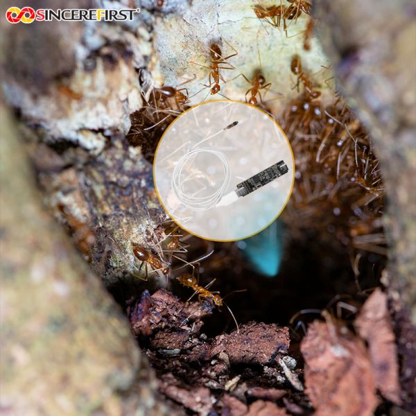 NIR Wide Angle 1080P Sensor OV02C10 USB Endoscope Camera Module