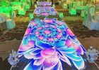 Outdoor SMD3535 Full Color LED Dance Floor Modulo LED 320mm X 160mm