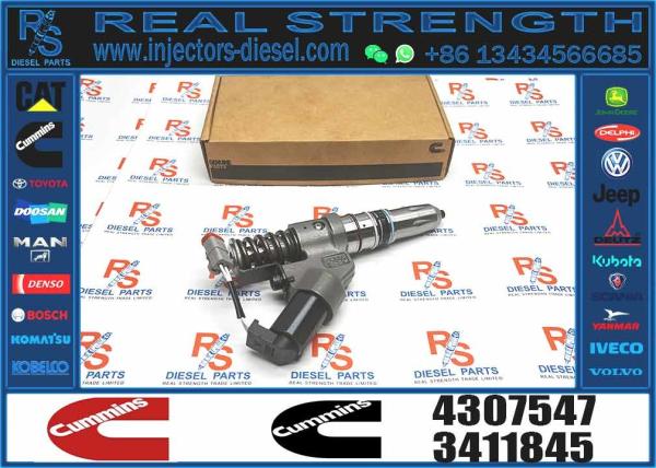 4307547 4061851 Ism11 Qsm11 Engine Fuel Injector For Excavator Diesel Engine Parts For Sale