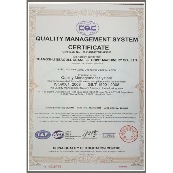 Acero inoxidable 0.5T - mini tipo manual garantía de un año del bloque de cadena 30T del OEM