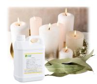Esplêndidas Folhas Populares de Eucalyptus Perfumes de Velas Para Fabricação de Velas Perfumadas