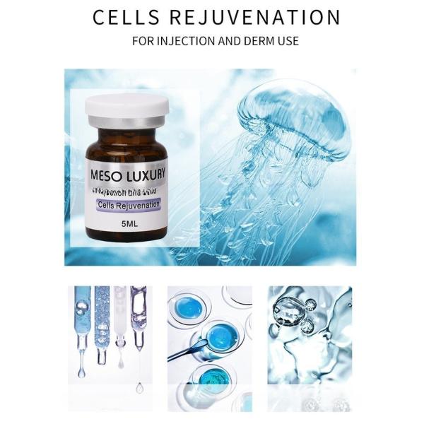 OEM ODM Meso Luxury Skin Booster Anti-Aging Firming Lifting Mesotherapy Serum Cells Rejuvenation Serum Ampoules Injection