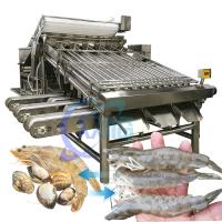 Machine de tri des crevettes en acier inoxydable pratique 6000x4000x2200mm