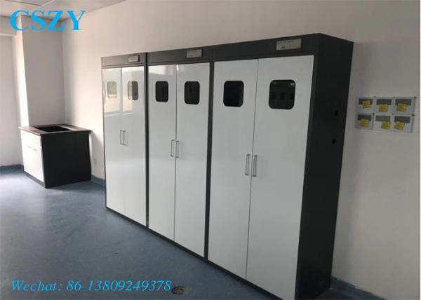 900X450X1800mm All Steel Lab Gas Cylinder Storage Cabinet for 2 Bottles