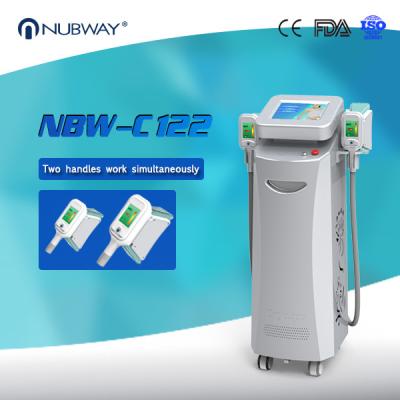 CE approved  cool sculpting cryolipolysis fat reduction devices lowest temperature -15 oC  2 handle working together