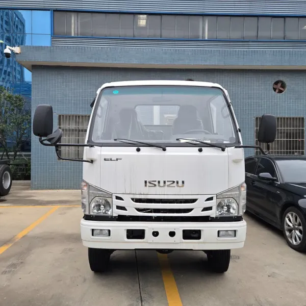 Isuzu 4X2 General Cargo Truck Small General Cargo Truck