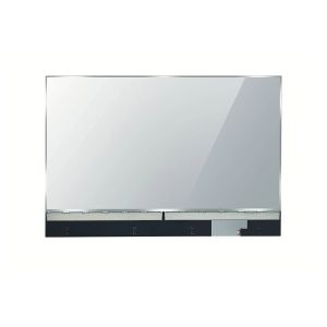 OLED Transparent Display