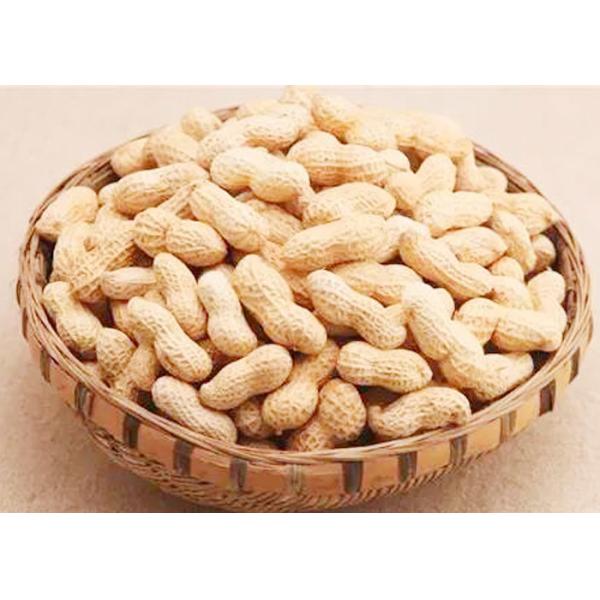 Pure Peanut Butter Natural Food Seasoning Original Flavor Cancer Prevention