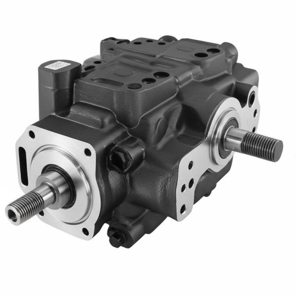 Liugong Loader Hydraulic Gear Pump JSSRF101 11C0191 CBGJ2063