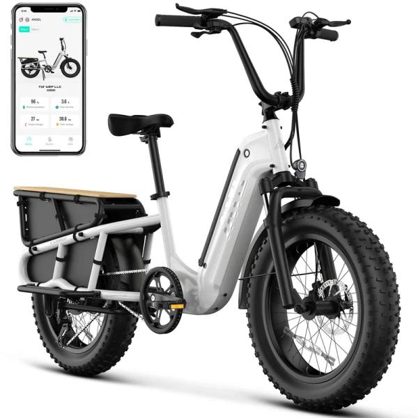 Electric Bike 20 Inch Fat Tire Multi-Purpose Long Tail Cargo Rack E-Bike for Family, Kids, Pets, Short Trips