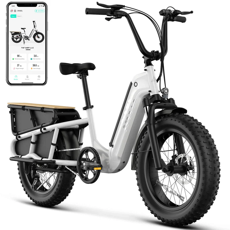 EU Stock New Arrival Fashion 20inch Cargo Ebike 25km/h Road Electric Bike Electric Moped Bicycle With 750W Motor
