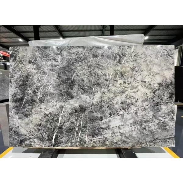 Italian Natural Stone Silver Fir Black Grey Look Marble Textured Slab for Home Wall Panel
