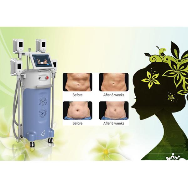 4 big handles Great weight loss-15 ~5Celsuis degree machine cryolipolysis