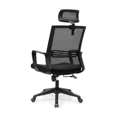 Tarefa Mesh Chairs For Conference Room do coxim 240kg da esponja