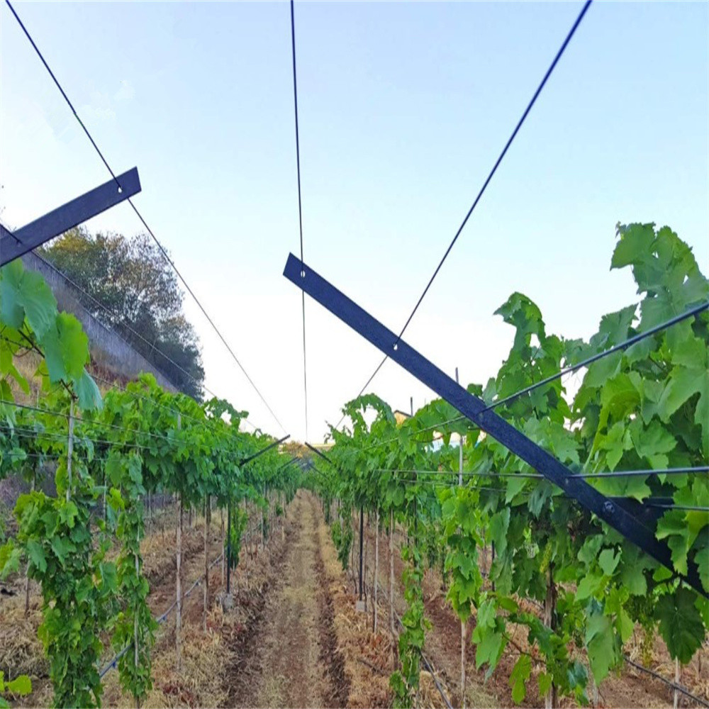 провод Vinyard полиэстера земледелия 2.5mm поддерживая высокопрочное моноволокно