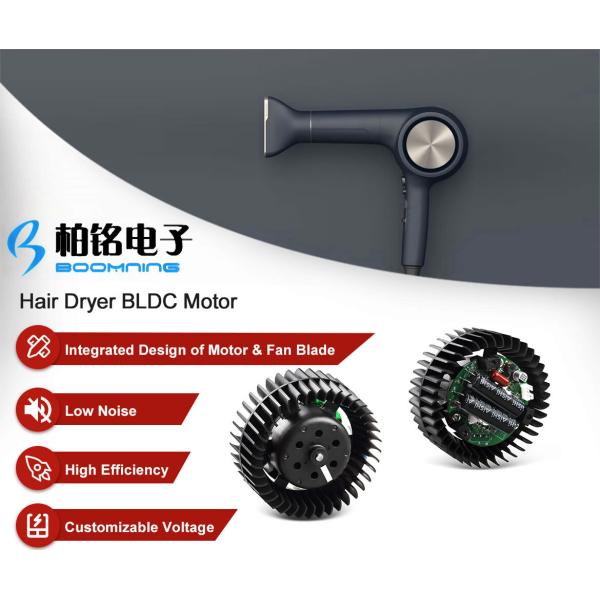 High Effiiciency Brushless DC Hair Dryer Motor