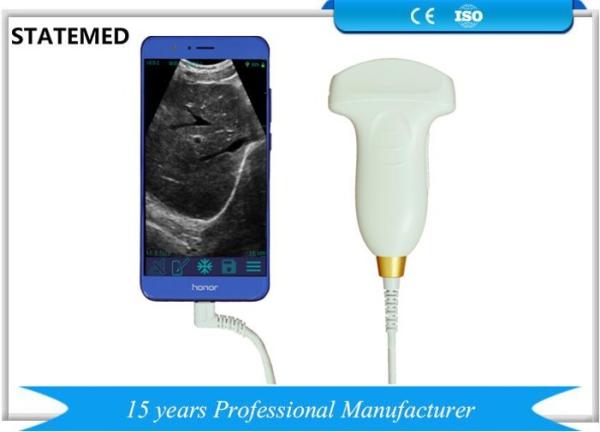 Pocket Sized Handheld Portable Ultrasound Scanner With Convex Probe White Color