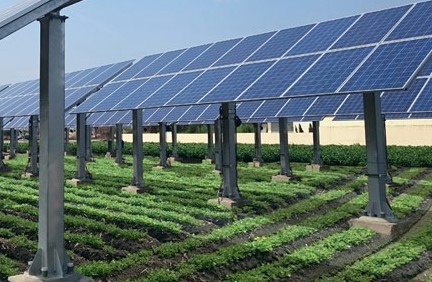 Отслежыватель одиночной оси шестерни червя SE9 солнечный сразил привод с высокой точностью для солнечной системы слежения