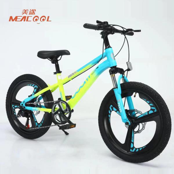 Fashionable Lightweight Mountain Bike 24