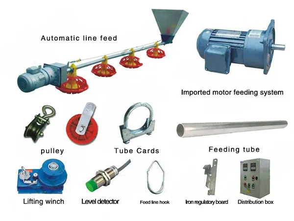 Hygienic Design Automatic Chicken Feeder System Anti Waste For Broiler Farms