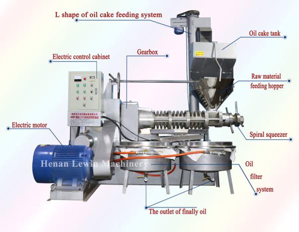 Sunflower Small Scale Oil Cold Press Machine Automatic Mustard Oil Pressers
