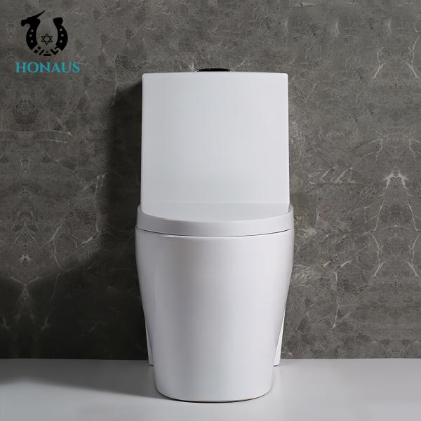 Premium Ceramic One Piece Toilet Bowl Luxury Dual Flush Floor Mounted Hotel House