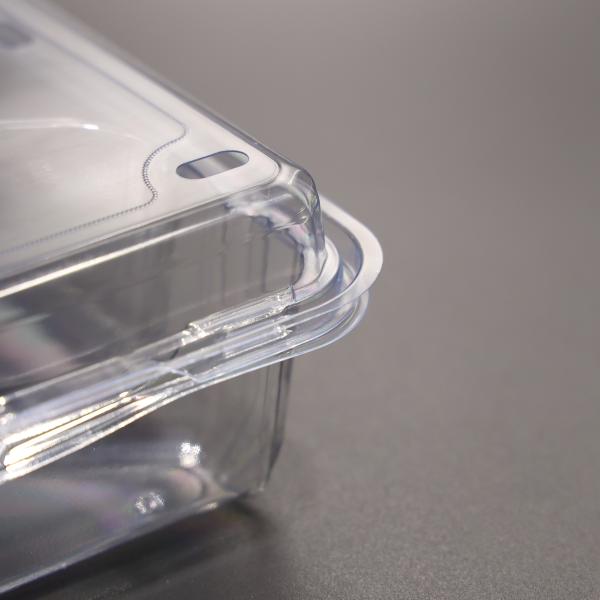 Clear PET 3 Compartment Plastic Food Box Convenient Multipurpose Storage
