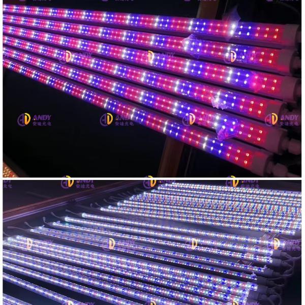 Indoor 36W 25W 18W UV IR NIR T8 LED Tube Grow Light 6500K 460nm 660nm 395nm For Hydroponics