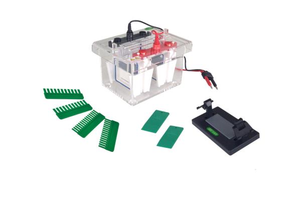 JY-SCZ4 Vertical Gel Electrophoresis Equipment Mini Protean Electrophoresis Cell