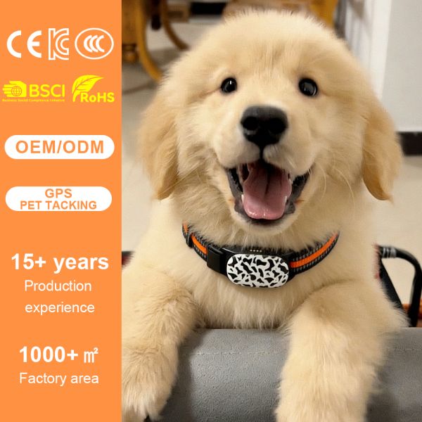 Real Time Dog GPS Tracker Device For Analyze Pet Behavior Patterns OEM ODM