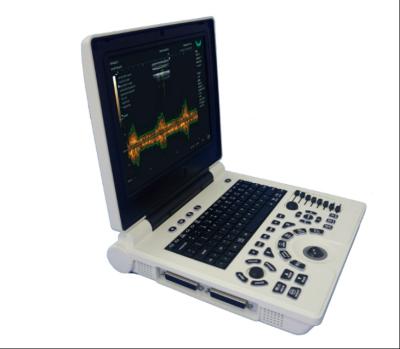 4D Color Ultrasound Portable Ultrasonography Machine Digital