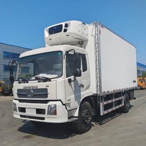 Hot Sale 7.8cbm Van Ice Cream/Sea Food Freezer Vehicle 9tons Refrigerator Truck