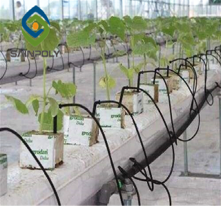 Soilless Culture Tomato Greenhouse With Nft Hydroponic System