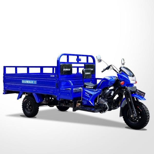 Fuel- 150cc Cargo Motorcycle with 800KG Loading Capacity and 10-20L Fuel Tank Capacity
