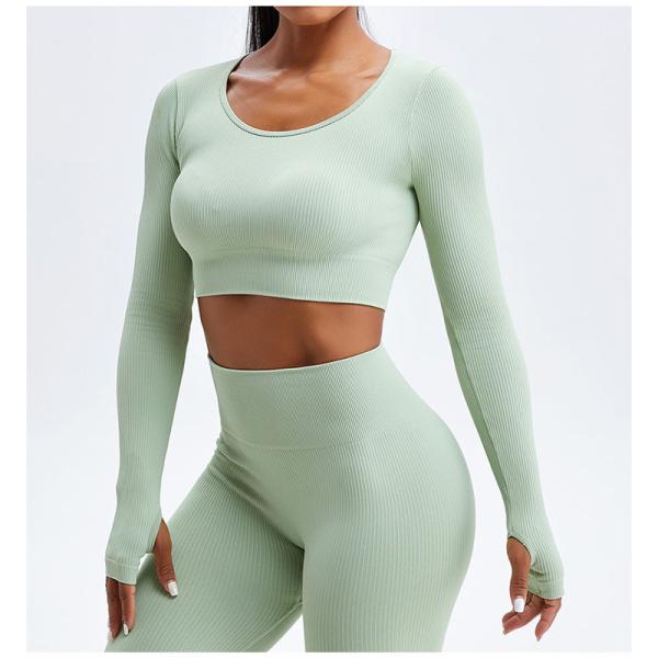 Stretchable женский набор йоги одевает гетры безшовного идущего ребристого урожая верхние