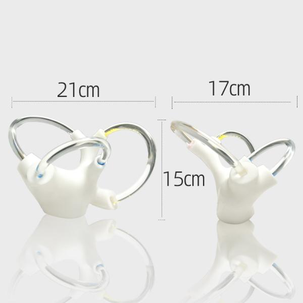 Tinnitus Vestibular Cochlea Inner Ear Cranial Nerve Rehabilitation Anatomical Function Didactic Demonstration Semicircular Canal