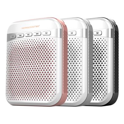 NEWGOOD Golden,Black,Grey Color Goddess Professional Wireless Wired Microphone Amplifier Speaker