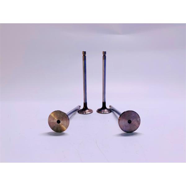 3940735 3940734 Diesel Engine Valve Fit KOMATSU 6D107 4D107 Cummins QSB6.7 QSB4.5