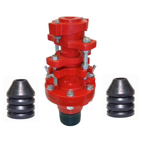 Nitrile Rubber Stuffing Box AISI1045 casting steel / ductile iron