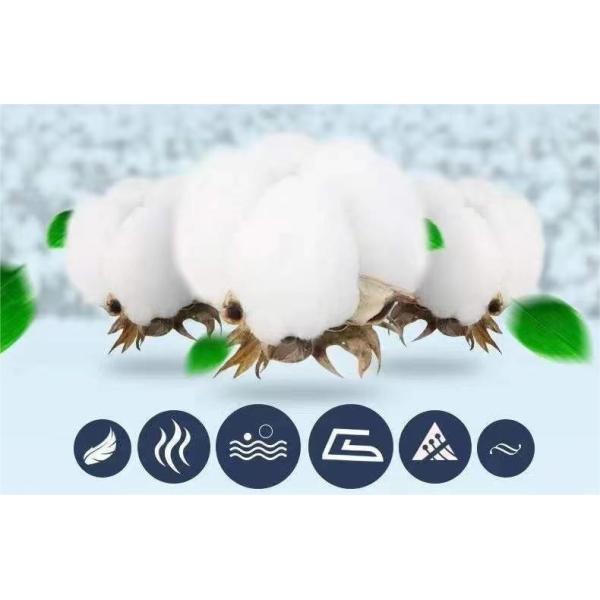 Wedding Bedding Type Wedding Four-Piece Kit in 100% Cotton for Home Hotel Hospital School