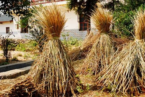 papel higiénico 120t de 1880m m el 17.3*7.2*6.8m que hace la máquina