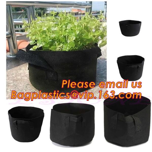 fabric pots grow bag felt garden bag with handle,Hydroponic Grow Bag 1 Gallon