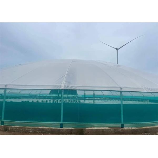 Integrated Recirculating Aquaculture System Water Recycling For Low FCR Tilapia Farming