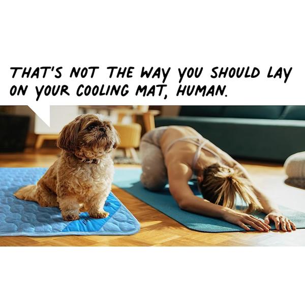 Cooling Mat for Dogs Water Injection Cooling Mats Cooling Bed Mats,Self Cooling Pet Dog Cool Mat Pads for Dogs Cats