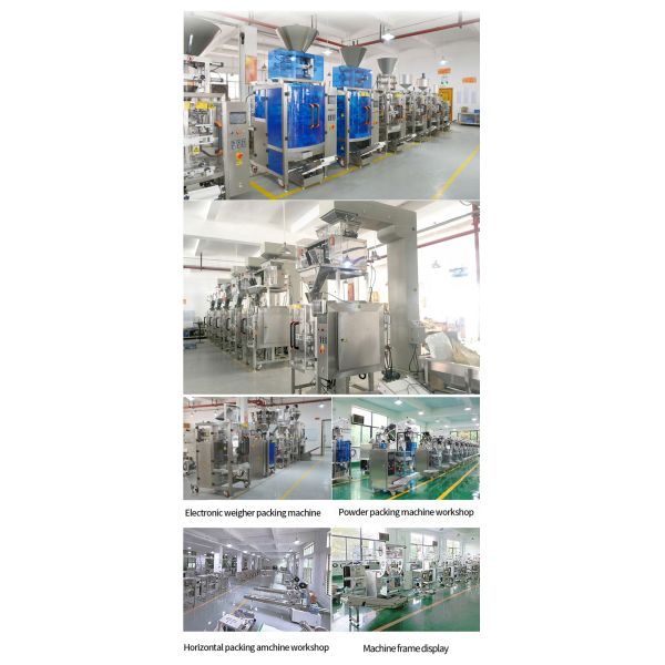 High Speed Honey Ketchup Tomato Sauce Paste Sachet Automatic Packing Machine Back Sealing Liquid Packing Machine Automatic Filling Machine CE Servo Drive Liquid Packaging Machine